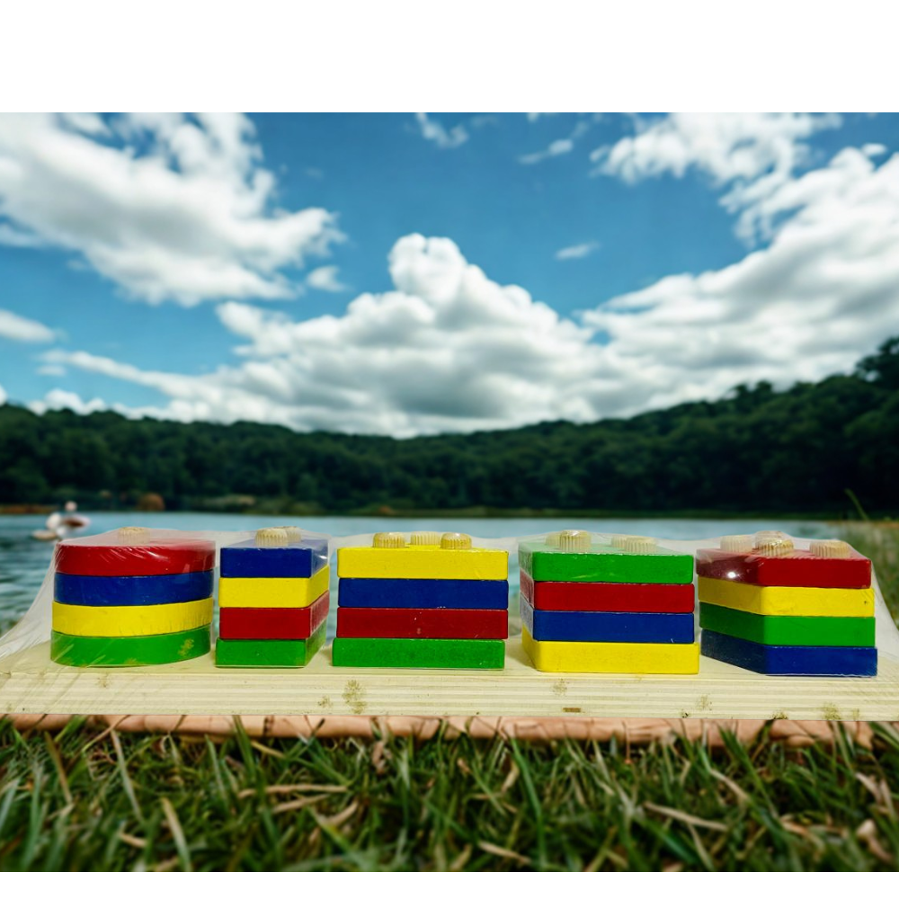Geometric Puzzle Plate Shape Sorter Five Sets of Columns